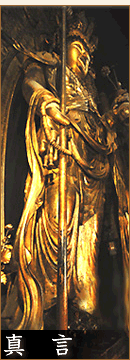 ����̏��E�t���̏�