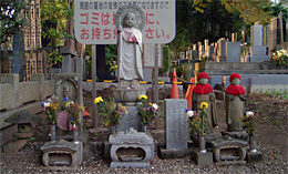 �����R�n���Ɣn���ω�